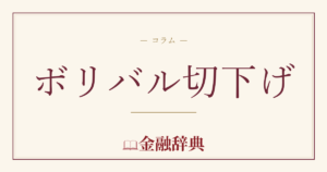 ボリバル切下げの解説