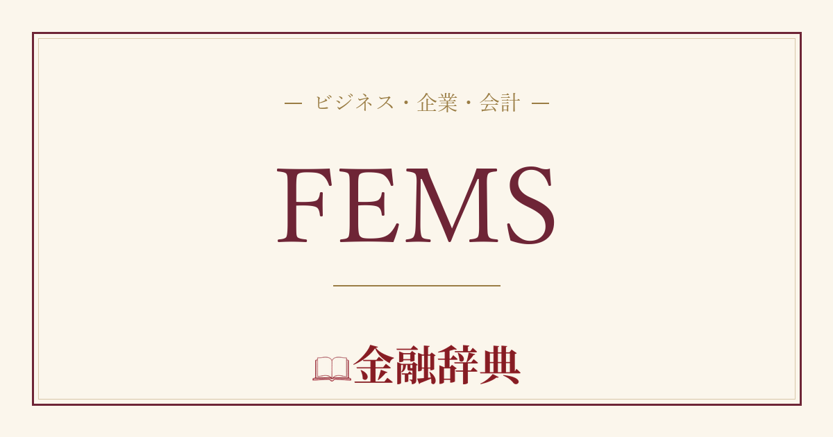 FEMSの解説