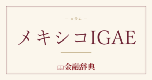 メキシコIGAEの解説