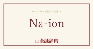 Na-ionの解説