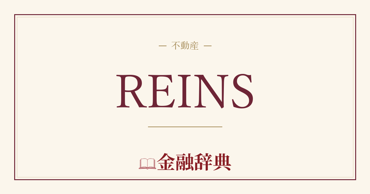 REINSの解説