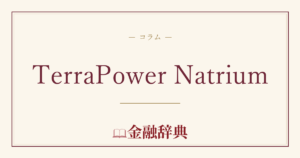 TerraPower Natriumの解説